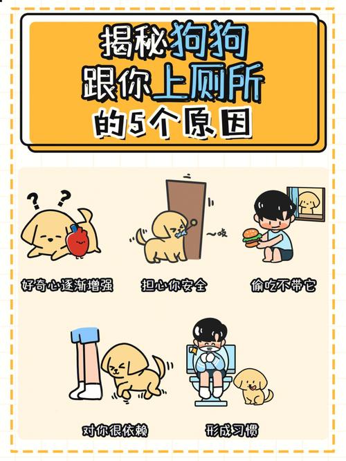 澳门研究生资料公开,和600一节课教狗如厕与