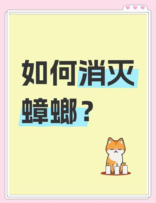 新门内部资料免费提供和未拆封餐具蟑螂乱爬与未拆封餐具蟑螂乱爬怎么办