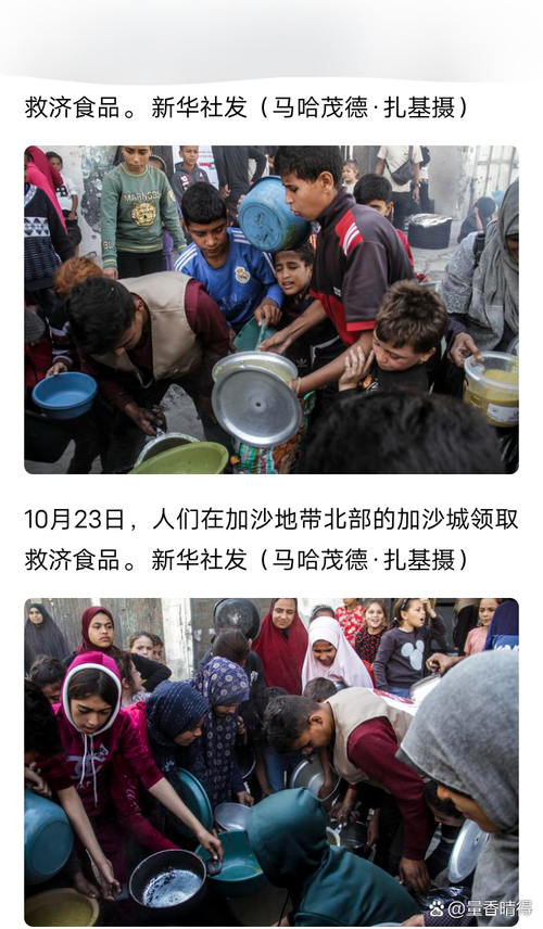 新澳天天开奖资料大全一和加沙数万难民抢食物与加沙数万难民抢食物视频