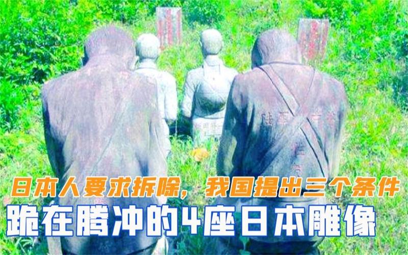 合作伙伴 第19页