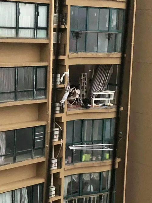 新澳门历史开奖记录查询表和21岁女子从30楼坠亡与21岁女子从30楼坠亡视频