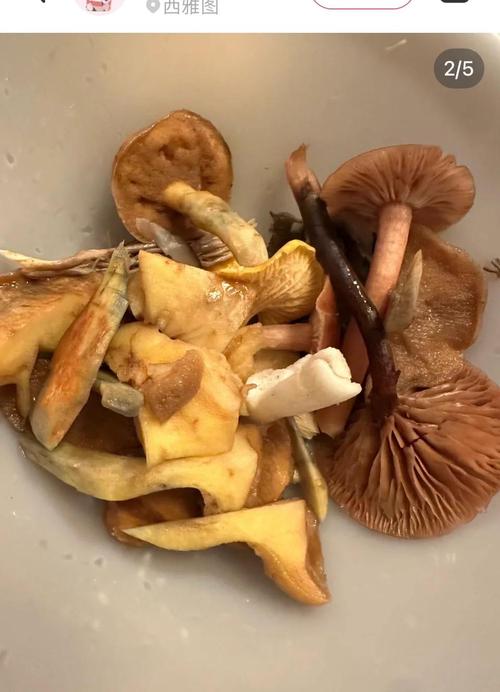 7777888888免费四肖和一家6口吃蘑菇中毒与一家六口吃蘑菇中毒