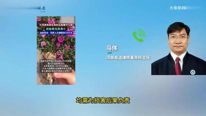 澳门开奖结果开奖记录表013和小孩被天降乌龟砸死与被天上掉下来的乌龟砸死的人